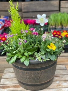 Large Mixed Barrel Planters