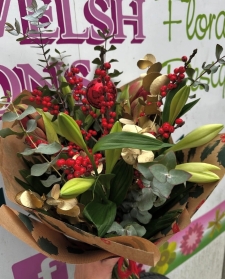 Karl’s Christmas Special Buy